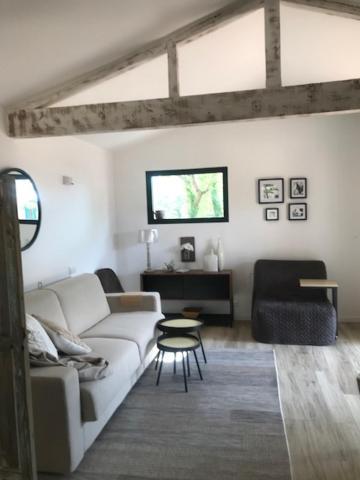 La Brindille Petit Mas Provencal Meuble De Tourisme 3 Etoiles 2-3 Personnes 1 Piece 30 M2 Tout Confort Lisiere Foret Jardin Jacuzzi Piscine Saint-Paul-en-Forêt Exterior foto